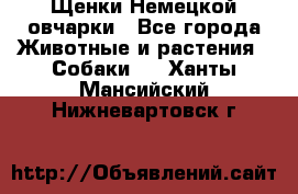 Щенки Немецкой овчарки - Все города Животные и растения » Собаки   . Ханты-Мансийский,Нижневартовск г.